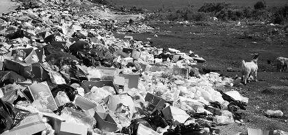 Антисанітарія